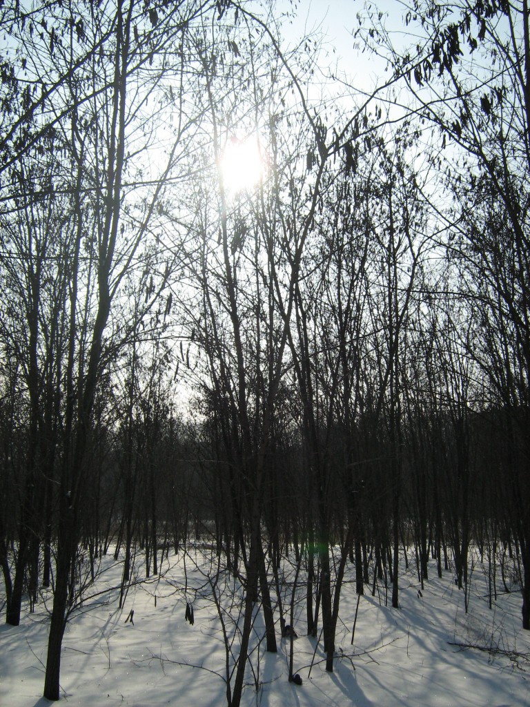 IMG_4017